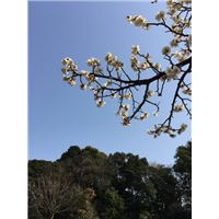 IMG_5530 (480x640).jpg